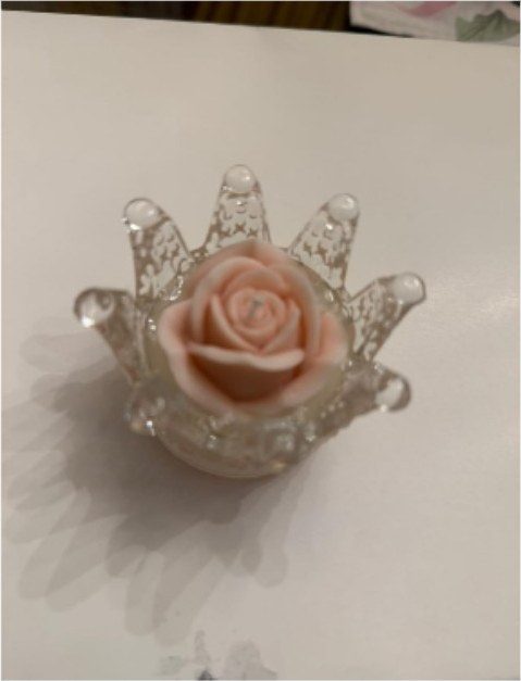 Crowned Beauty