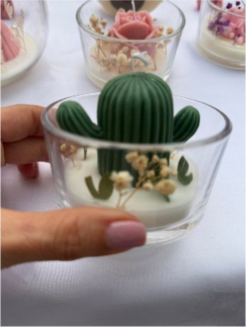 Desert Bloom