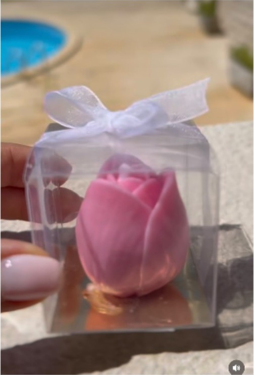 Blush Tulip Bud