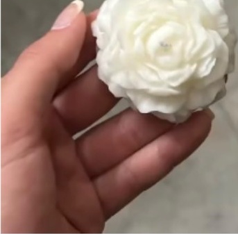 Snow Blossom