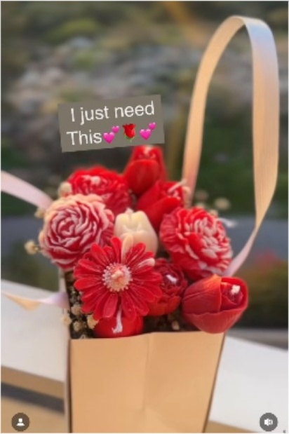 Crimson Passion Bag