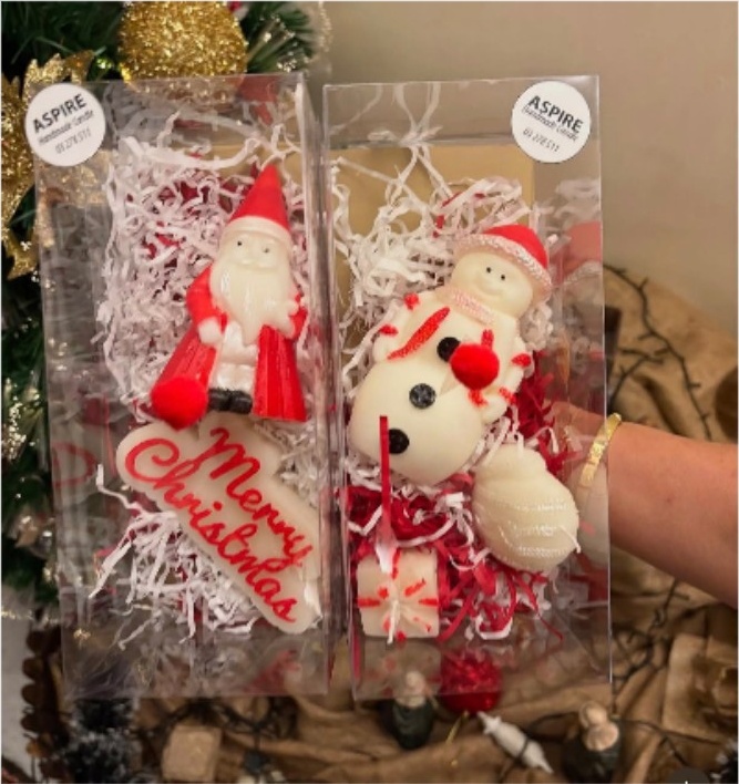 Santa's Little Gift