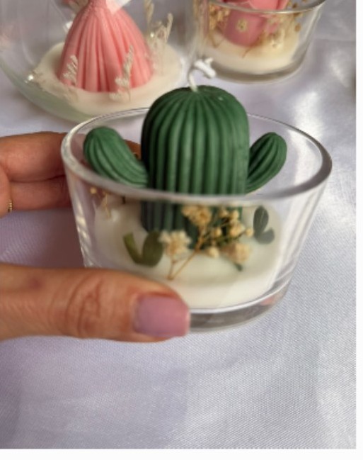 Little Cactus